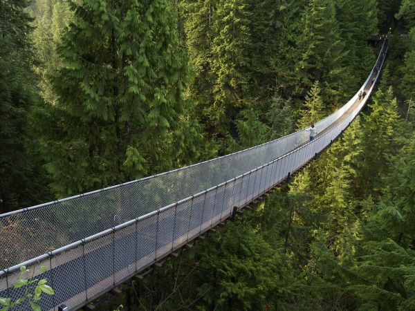 Puente en suspensión Capilano -Canadá