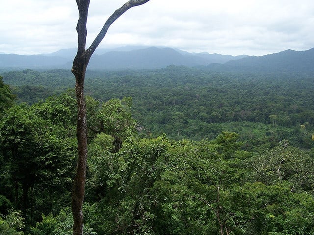 Reserva de la Biosfera del Rio Plátano