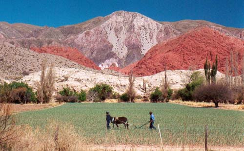 vuelos-a-salta