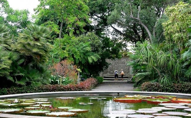 jardin-botanicoi-tenerife